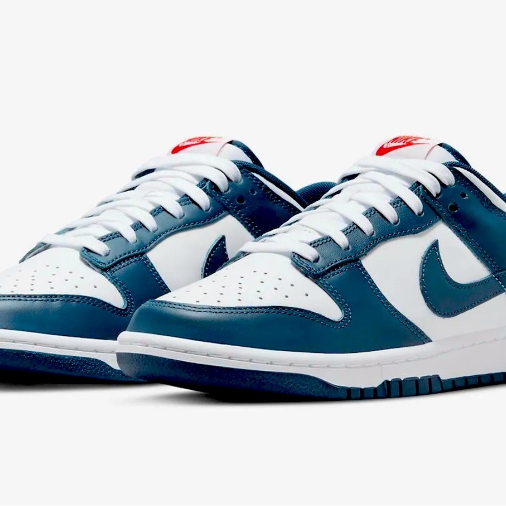 Nike Dunk Valerian Blue. Size 10 brand new with box.
